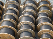 Ũtongoesya Mũnene wa Mbee